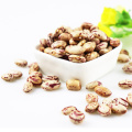 Hot selling Cranberries Beans Xinjiang Round Type Light Speckled Kidney Beans Sale In Bulk cranberries beans